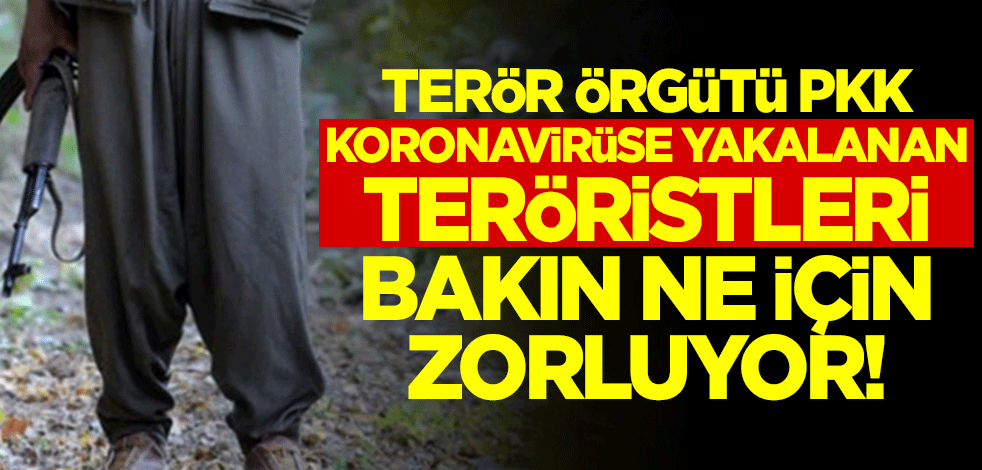 PKK, koronavirüse yakalanan teröristleri bakın ne için zorluyor!
