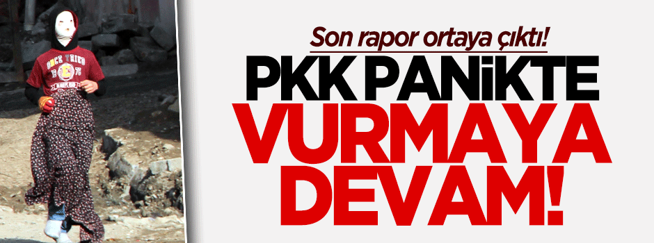 PKK köşeye sıkıştı, operasyonlara devam!