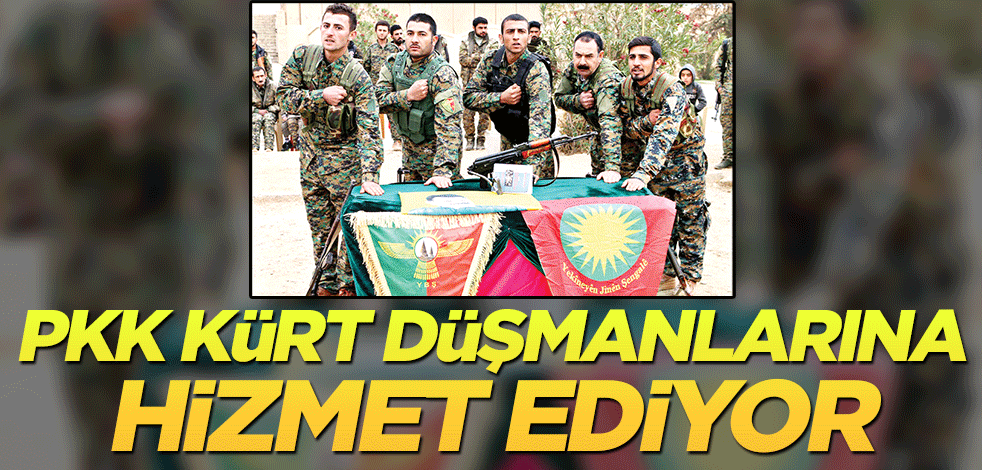 PKK, Kürt düşmanlarına hizmet ediyor