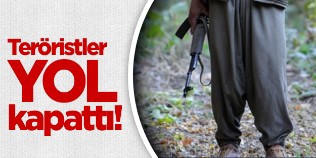 PKK Muş'ta yol kapattı