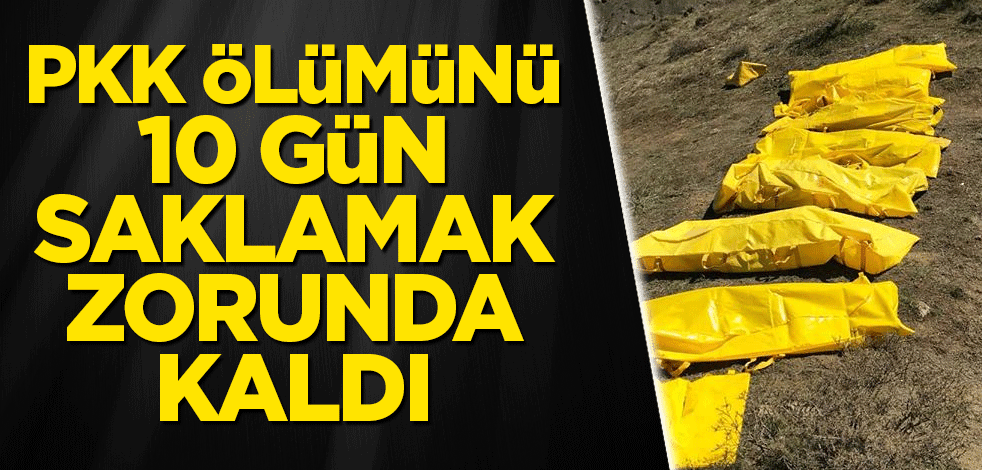 PKK ölümünü 10 gün saklamak zorunda kaldı