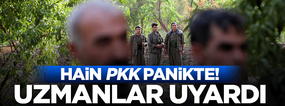 PKK panikte! Uzmanlardan 'ateşkes' uyarısı
