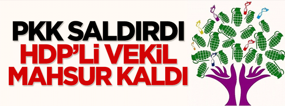 PKK saldırdı, HDP'li vekil binada mahsur kaldı