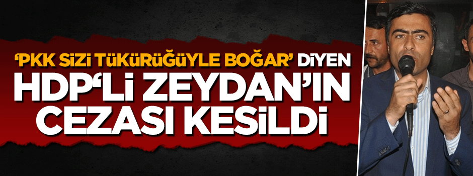 'PKK sizi tükürüğüyle boğar' diyen HDP'li Abdullah Zeydan'a hapis cezası