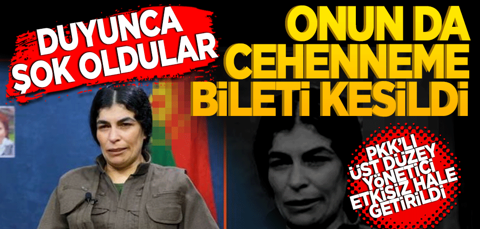 PKK şokta! Beritan Nurhak Çiya kod adlı Sultan Dağ etkisiz hale getirildi.