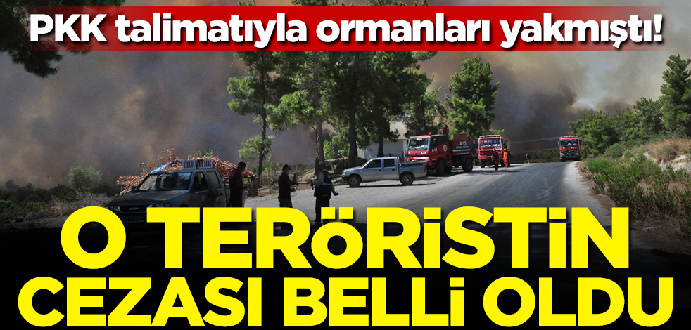 PKK talimatıyla ormanları yakmıştı! O teröristin cezası belli oldu