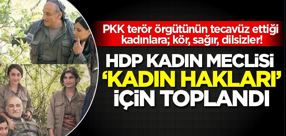 PKK terör örgütünün tecavüz ettiği kadınlara; kör, sağır, dilsizler' HDP Kadın Meclisi toplandı