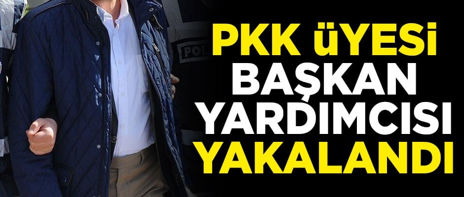 PKK üyesi belediye başkan yardımcısı yakalandı!