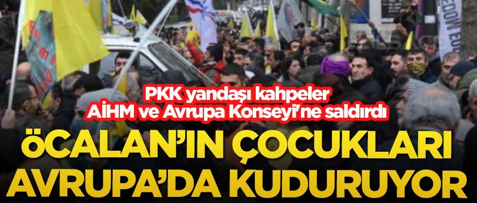 PKK yandaşı kahpeler AİHM ve Avrupa Konseyi'ne saldırdı