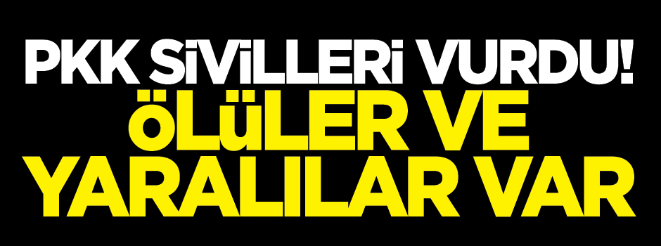 PKK yine sivilleri hedef aldı! 2 ölü, 2 yaralı