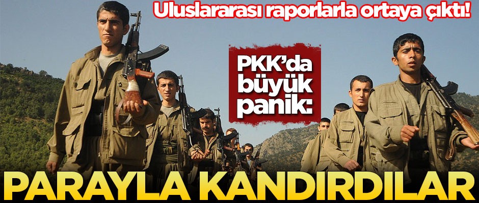 PKK'da büyük panik: Parayla kandırıp dağa çıkardılar