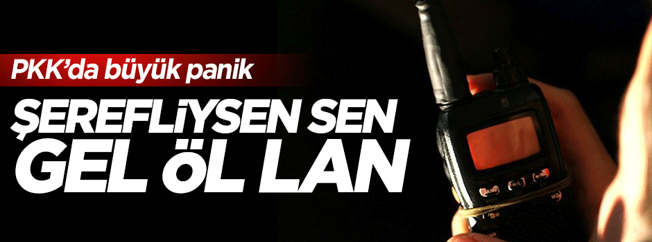 PKK'da büyük panik: Şerefliysen gel sen öl lan