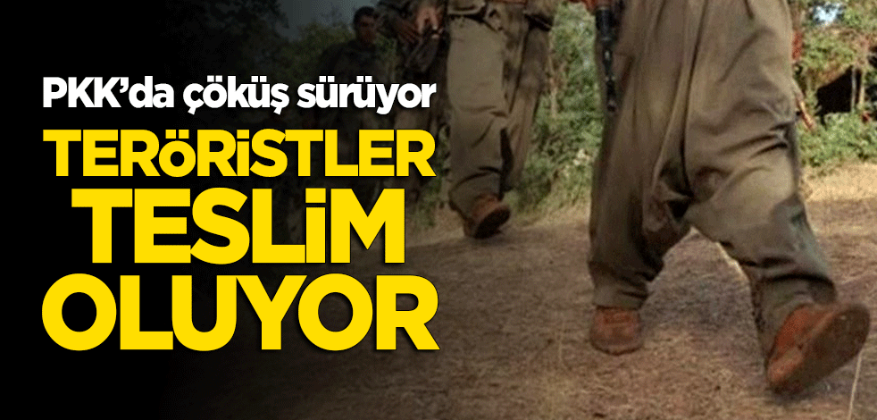 PKK'da çöküş sürüyor... Teröristler teslim oluyor