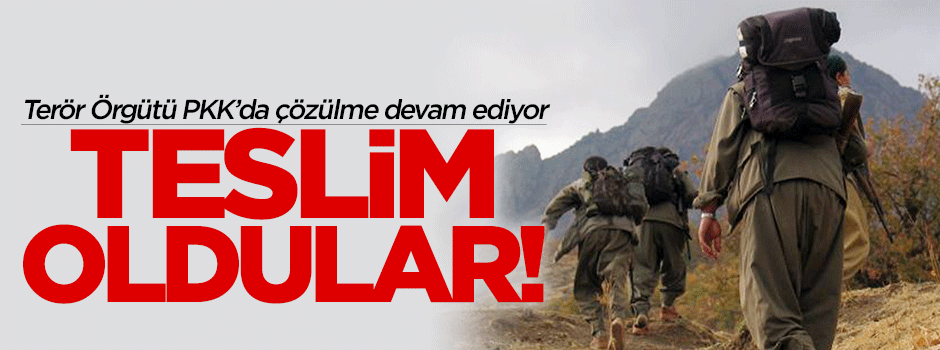 PKK'da çözülme devam ediyor! Teslim oldular