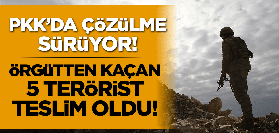 PKK'da çözülme sürüyor! Terör örgütünden kaçan 5 terörist teslim oldu