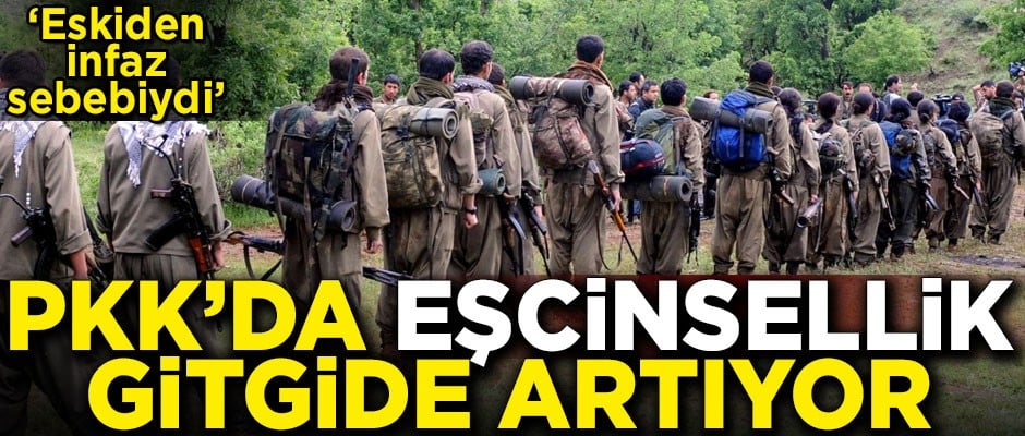 PKK'da eşcinsellik gitgide artıyor! Teröristlerden flaş itiraflar
