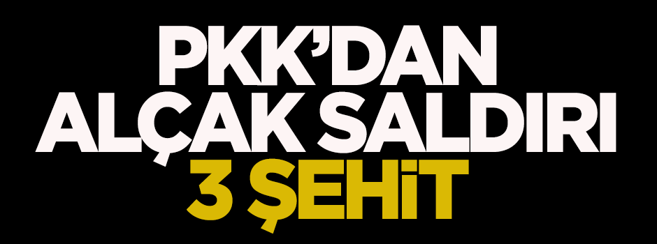 PKK'dan alçak saldırı: 3 şehit