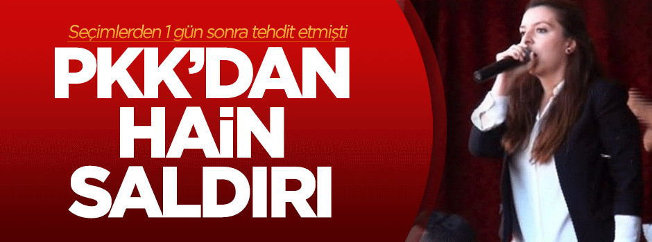 PKK'dan hain saldırı