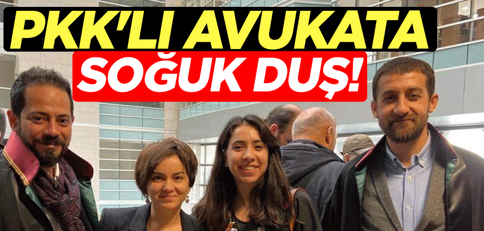 PKK'lı avukata soğuk duş! Neye uğradığını şaşırdı
