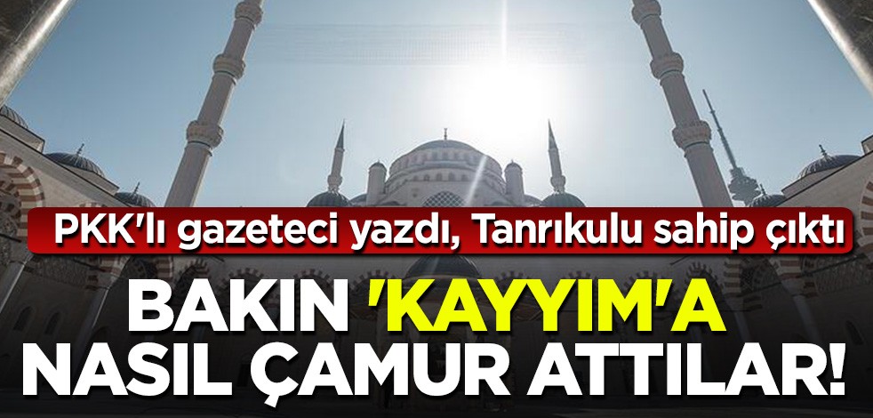PKK'lı gazeteci yazdı, CHP'li Tanrıkulu sahip çıktı! Bakın Kayyıma nasıl çamur attılar