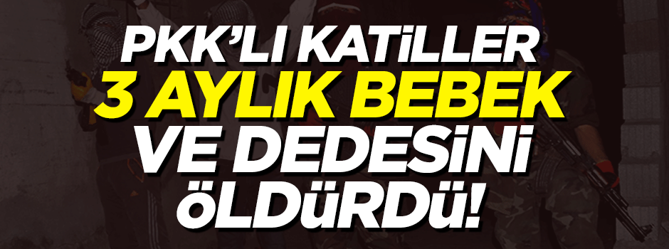 PKK'lı hainler 3 aylık bebek ile dedesini öldürdü