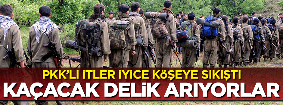 PKK'lı itler kaçacak delik arıyor! "Her yerde asker var, ölüyoruz"