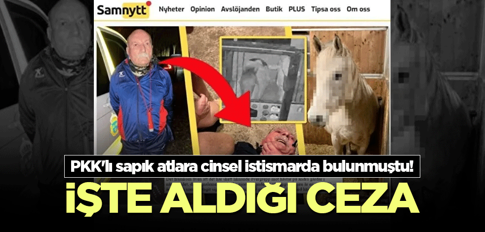 PKK'lı sapık atlara cinsel istismarda bulunmuştu! İşte aldığı ceza
