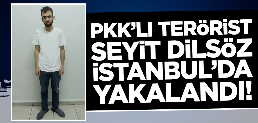 PKK'lı terörist Seyit Dilsöz İstanbul'da yakalandı