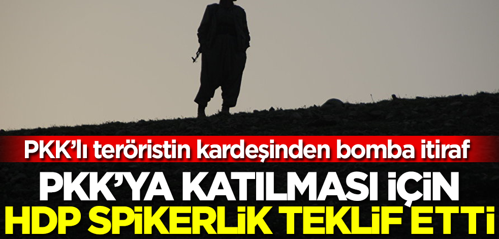 PKK'lı teröristin kardeşinden HDP itirafı: Spikerlik teklif ettiler