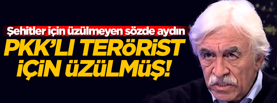 PKK'lı teröristin ölümü Cengiz Çandar'ı üzdü