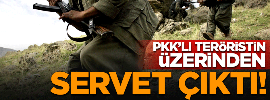 PKK'lı teröristin üzerinden 85 bin lira çıktı
