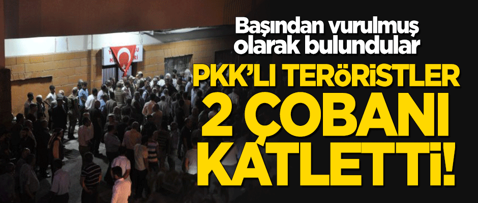 PKK'lı teröristler 2 çobanı katletti