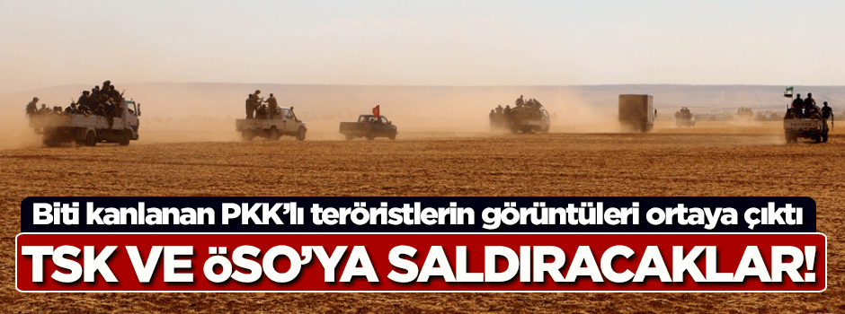 PKK'lı teröristler Fırat Kalkanı'na saldıracak!