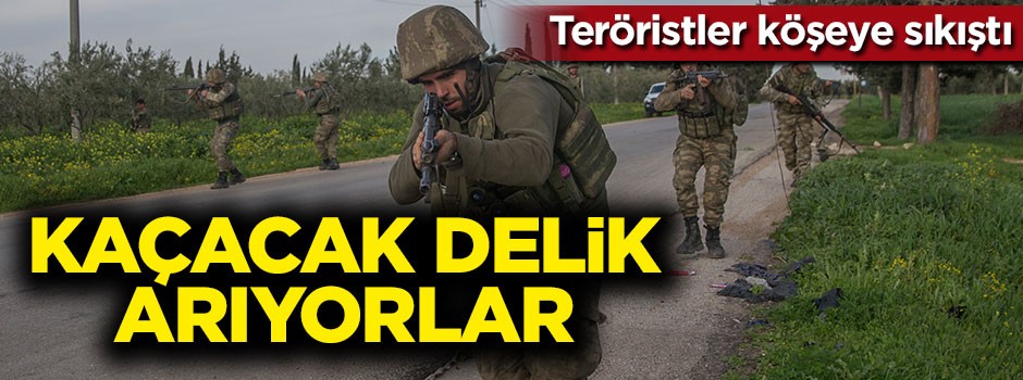 PKK'lı teröristler köşeye sıkıştı! Kaçacak delik arıyorlar