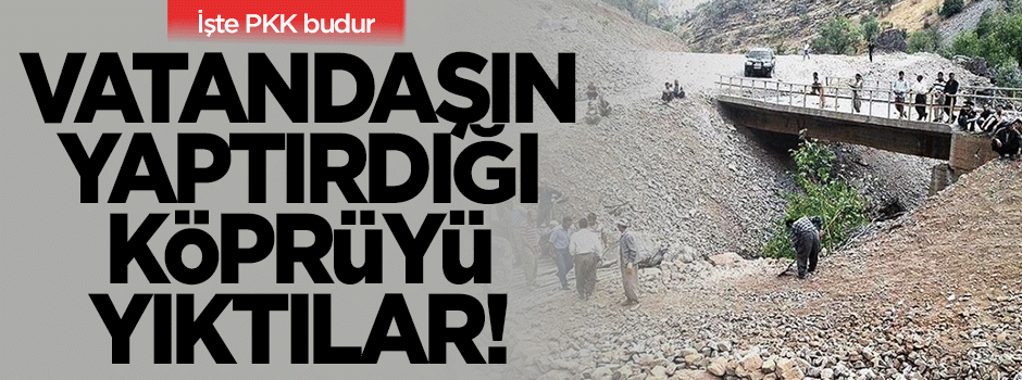 PKK'lı teröristler vatandaşın yaptığı köprüye saldırdı