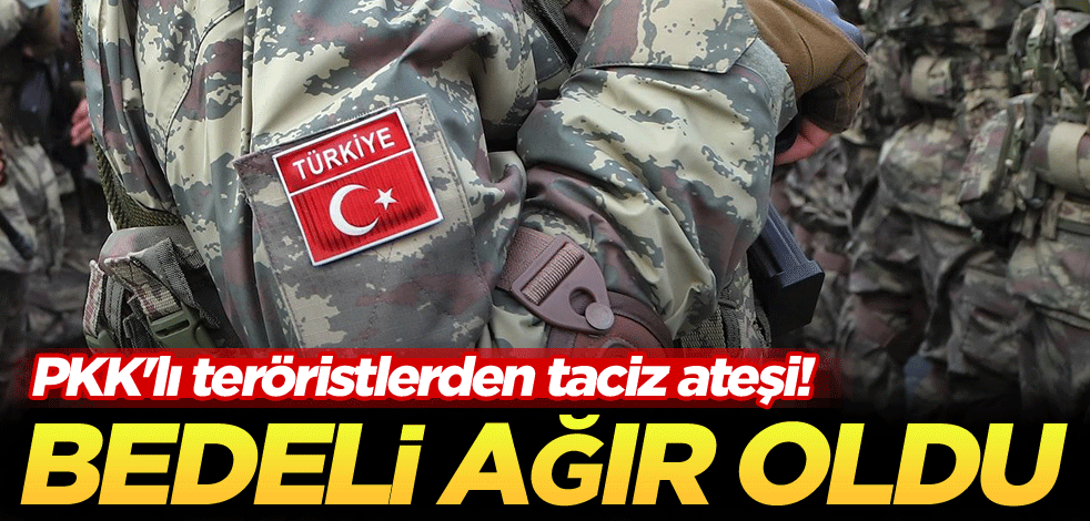 PKK'lı teröristlerden taciz ateşi! Bedeli ağır oldu
