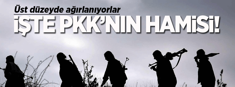 PKK'lı teröristlere AB himayesi