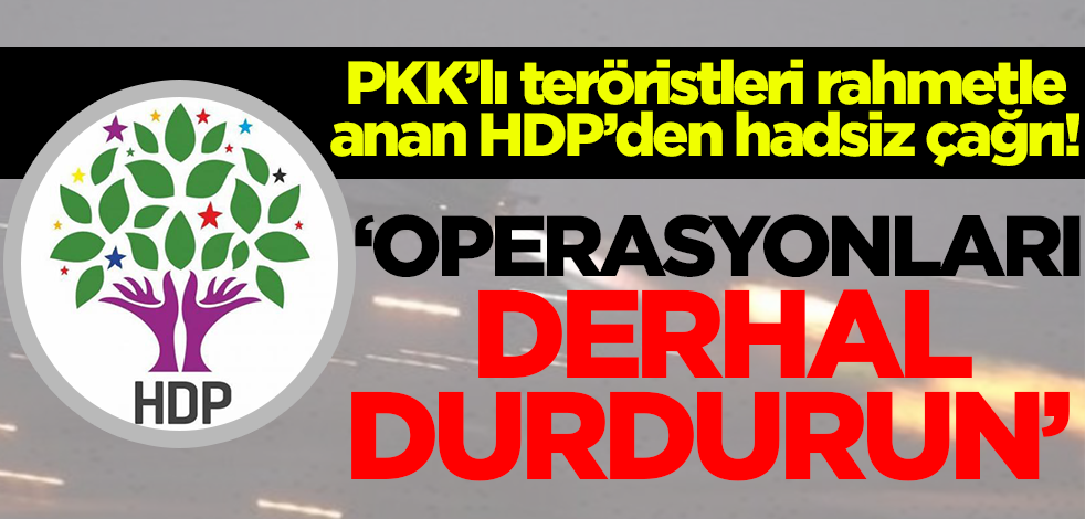 PKK'lı teröristleri rahmetle anan HDP'den hadsiz açıklama! 'Operasyonları derhal durdurun!'
