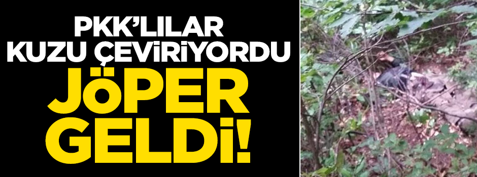 PKK'lıar kuzu çevirirken JÖPER tepelerine bindi