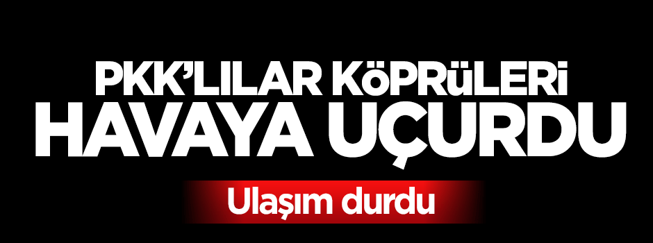 PKK'lılar 2 köprüyü havaya uçurdu