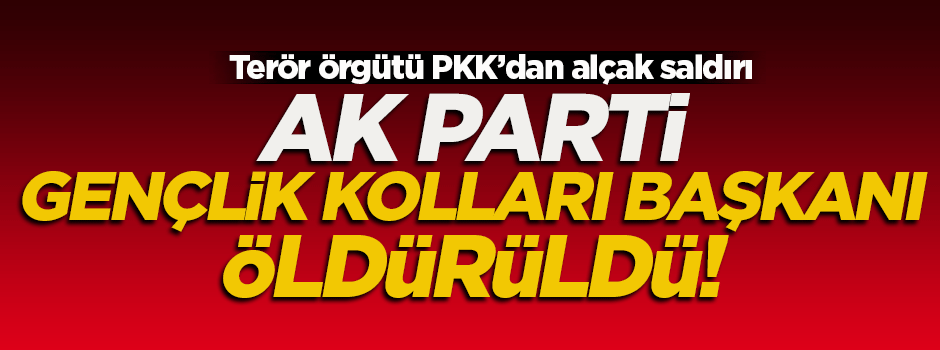 PKK'lılar AK Parti Gençlik Kolları Başkanı'nı öldürdü