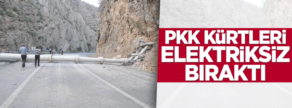 PKK'lılar Hakkari-Çukurca yolunu ulaşıma kapattı
