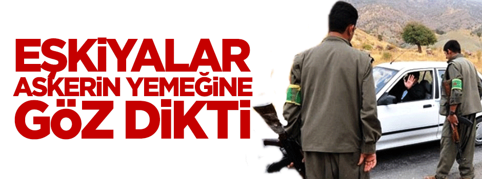 PKK'lılar jandarmaya gıda maddesi taşıyan minibüsü çaldı