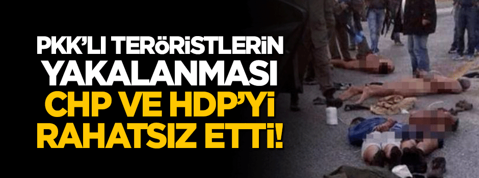 Teröristler yakalandı, CHP ve HDP rahatsız oldu