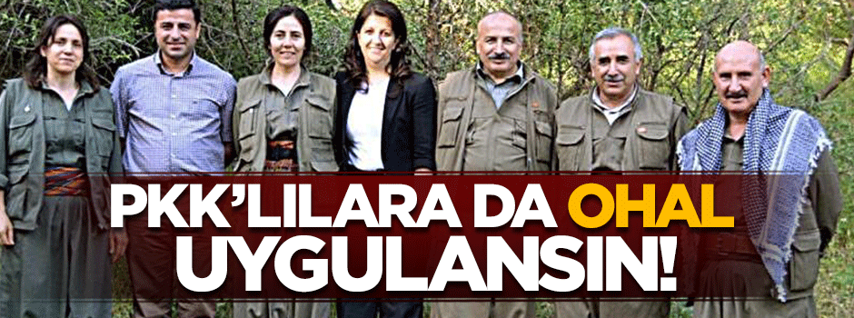 PKK’lılara da OHAL uygulansın