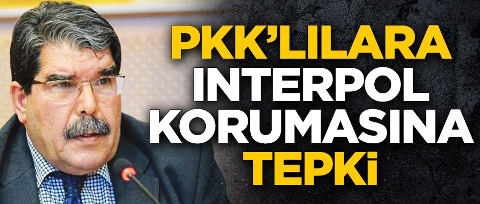 PKK’lılara Interpol korumasına tepki