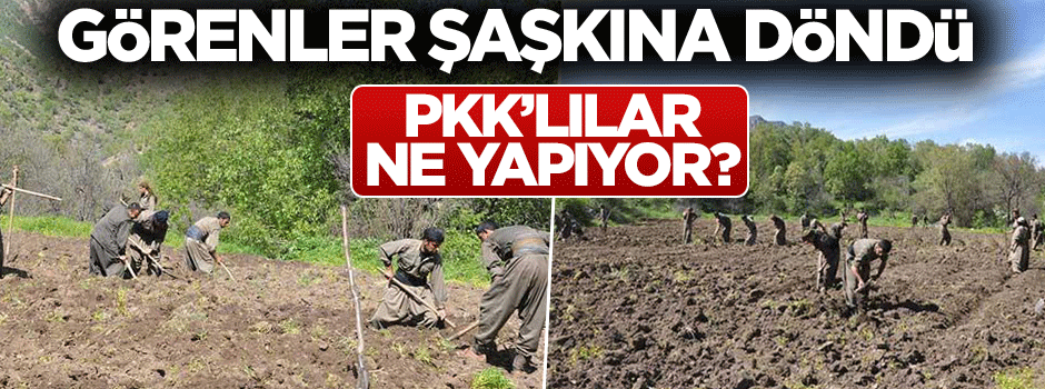 PKK'lıların bu görüntüleri şaşkına çevirdi