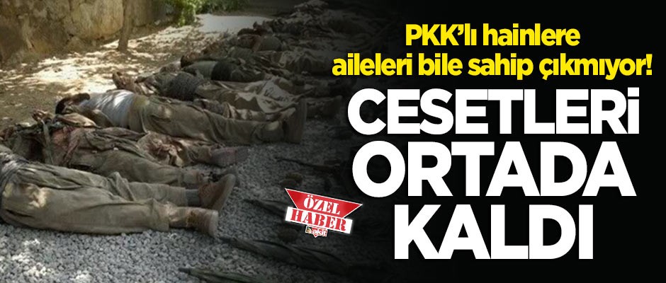 PKK’lıların cenazelerini aileleri de almıyor