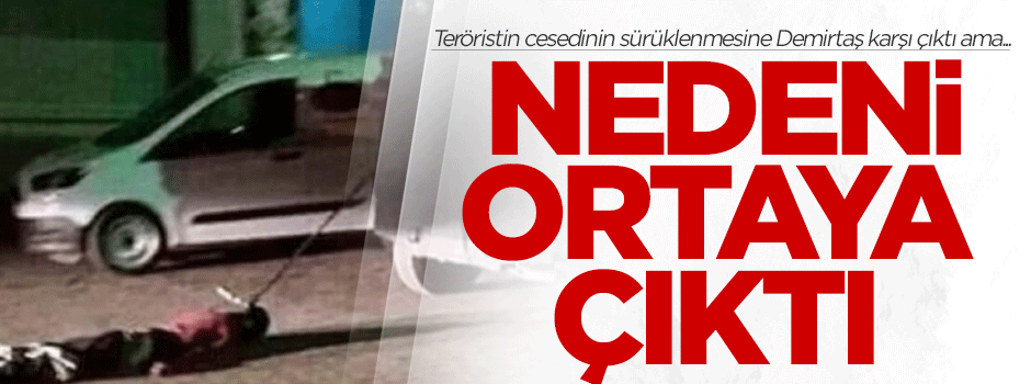 PKK'lının cesedi neden böyle taşındı?