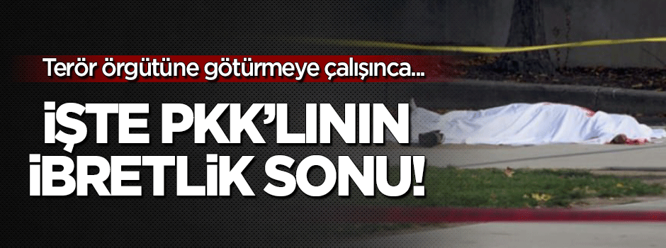 PKK'lının ibretlik sonu: PKK'ya götürmeye zorlayınca öldürdü!